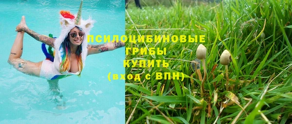 MDMA Premium VHQ Белокуриха
