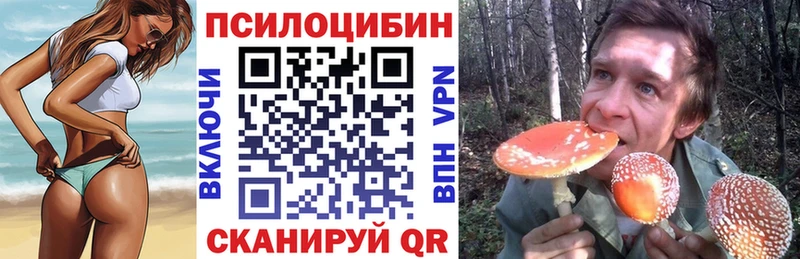 купить наркотики цена  Магас  Галлюциногенные грибы Cubensis 